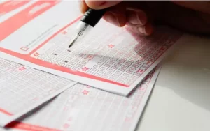 kerala lottery result today nirmal at TC Lottery App featured image